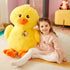 files/20201112_RAW1634.jpg