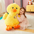 files/20201112_RAW1676.jpg