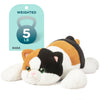 IKASA 5 lbs Weighted Stuffed Animal Calico Cat Plush Toy,Giant Large Big Soft Kitten Toys,24 inches Huge Size Cute Fat Plushie,Gifts for Kids Boys