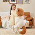 files/81F3a3y6ryL.jpg