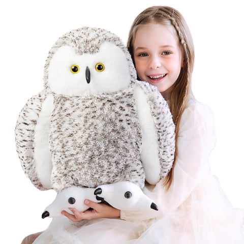 Owls