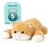 IKASA 5 lbs Weighted Stuffed Animal Orange Tabby Cat Plush Toy,Giant Large Big Jumbo Soft Kitten Toys,24 inches Huge Cute Fat Plushy,Gifts for Kids