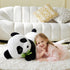 files/81n0gWDy2-L.jpg