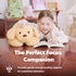 files/81pJy4-ac3L.jpg