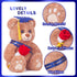 files/913NBwNZ9HL.jpg