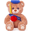 IKASA Graduation Teddy Bear 2026 Stuffed Animal Plush Toy with Cap,11" Soft Present Gift Preschool Kindergarten for Girlfriend (Rose)