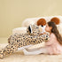 products/cheetah2.jpg