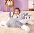 products/dog5.jpg
