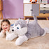 products/dog6.jpg