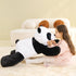 products/panda6.jpg
